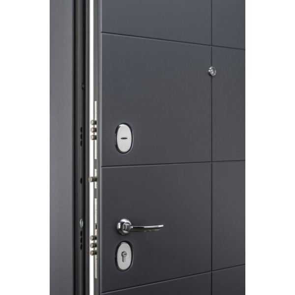 Входная дверь Elporta Porta S 10.П50 (AB-6) Graphite Pro/Nordic Oak купить с доставкой
