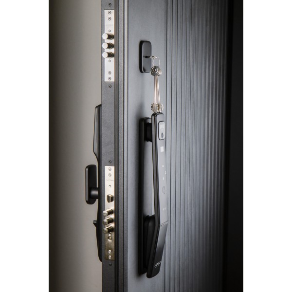 Входная дверь Промет РОНА СМАРТ Зеркало (Умный замок) купить с доставкой