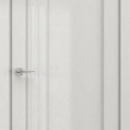 Межкомнатные двери Deform V9 купить с доставкой